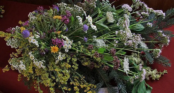 Concurs de rams de flors de muntanya