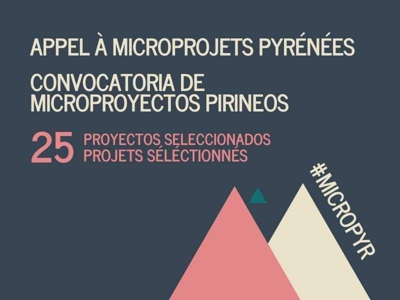 APPEL-A-MICROPROJETS-PYRENEES-NOTICIA