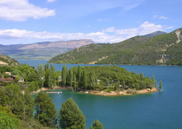 Pant&agrave; de Sant Antoni 2