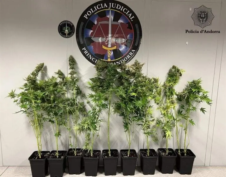 Policia andorrana marihuana