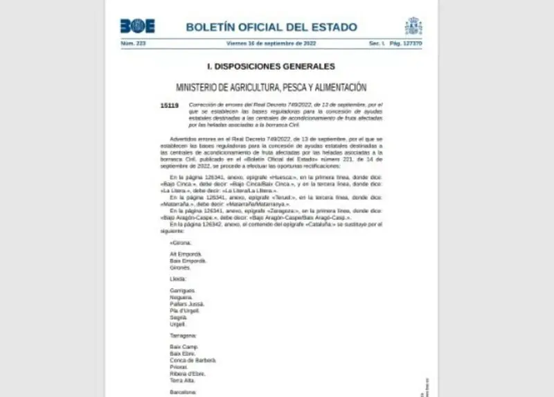 BOE correccions