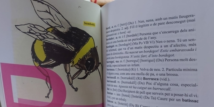 Diccionari Ribagor&ccedil;&agrave;