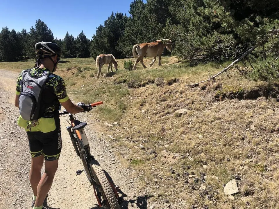 ciclista Montenartr&oacute; Jaume Teixid&oacute;
