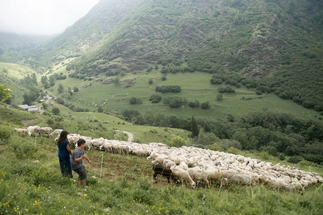 Ramat Vall d'&Agrave;ssua