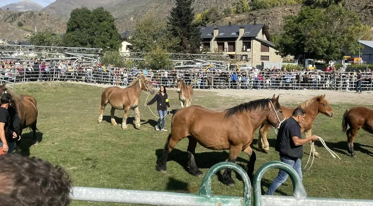Fira de Santa teresa d'esterri 2022 1