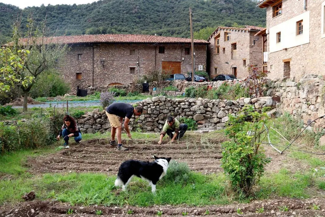 Balestui habitatge 1