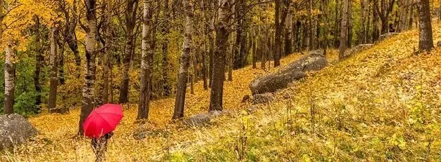 Tardor Vall de Bo&iacute; 2