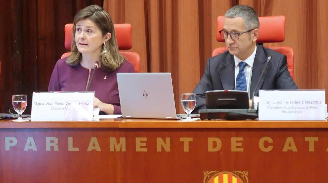 S&iacute;ndica d'Aran al Parlament 3