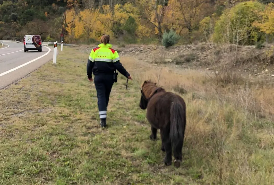 Mossos Poni la Pobla