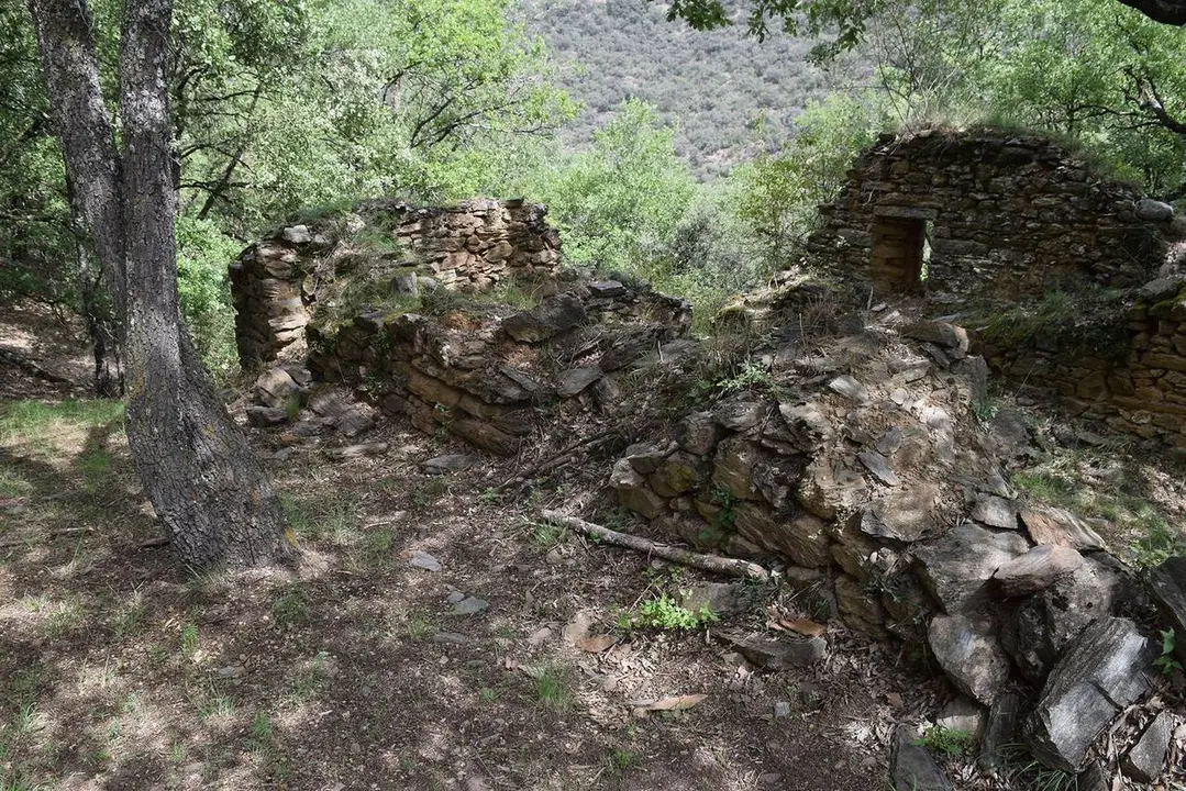 Costoja1