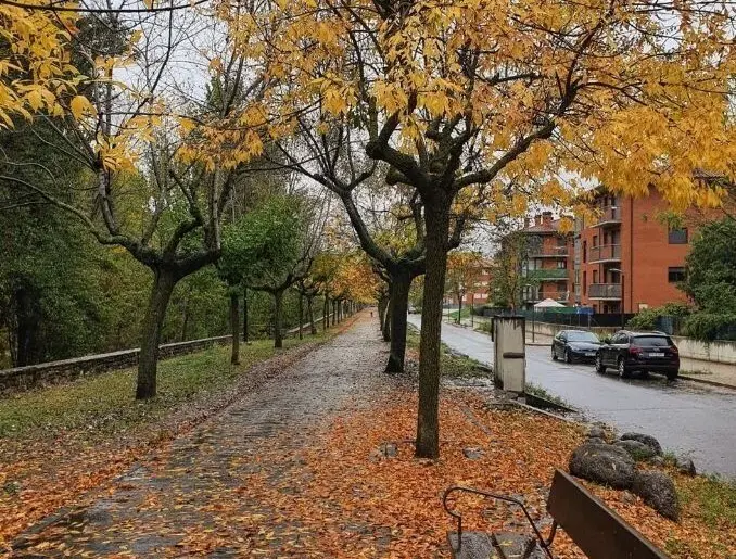 La Pobla Passeig Josep Borrell 2