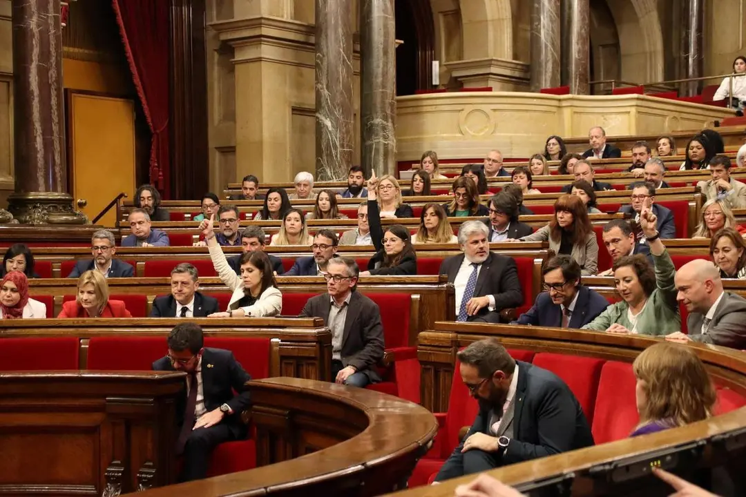 Parlament aran&egrave;s ensenyament