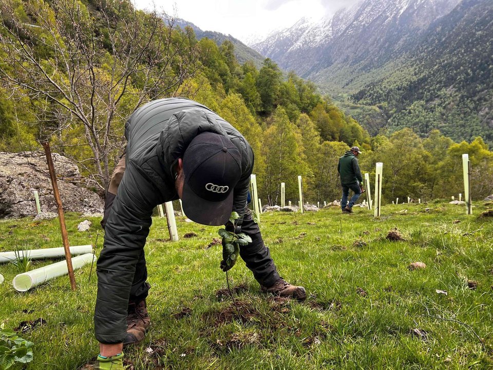 Plantació fruiters Pallars Sobirà 1