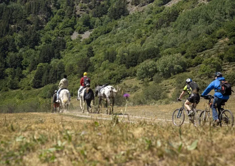 Aran Camins compartits