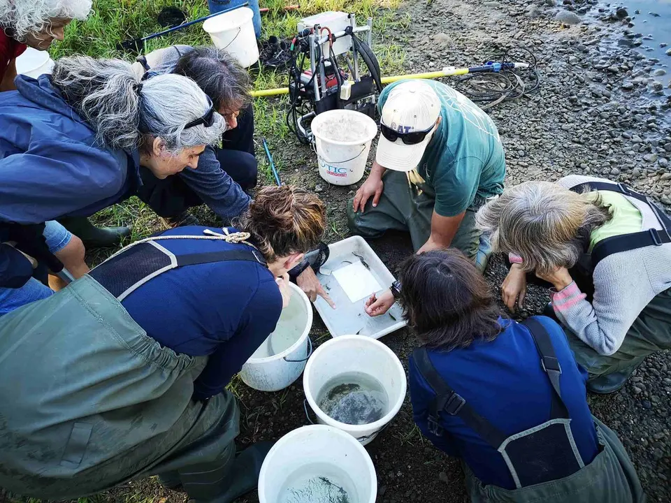 BioBlitz 1
