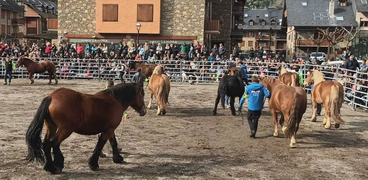 Fira de Santa Teresa d'Esterri 2023 1