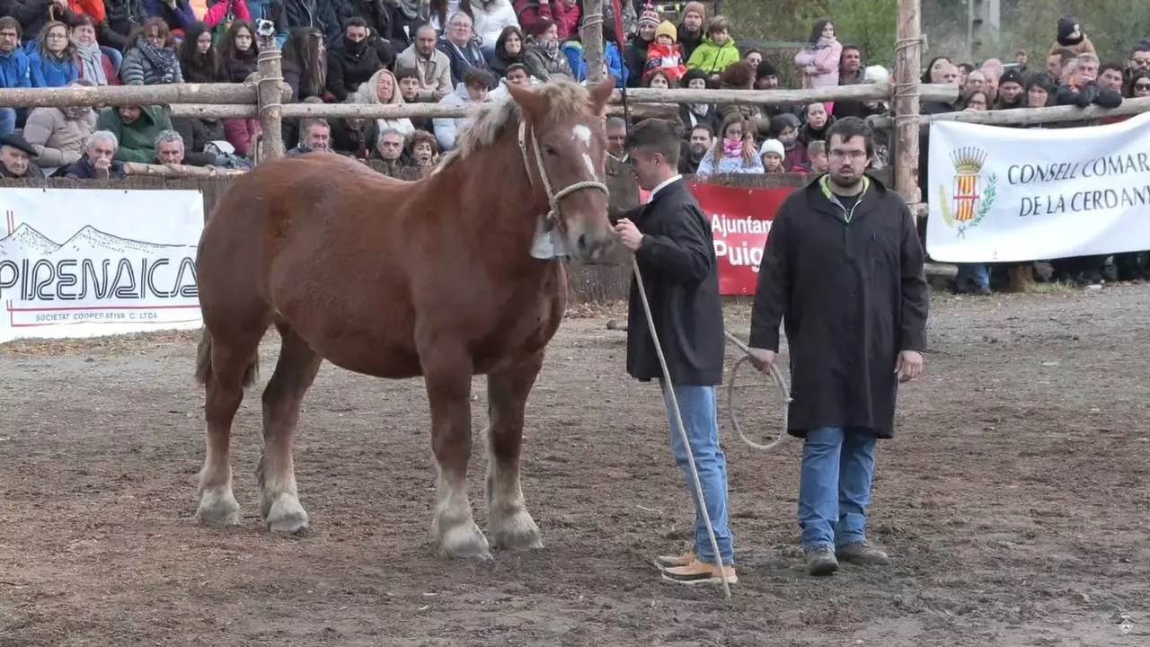 Fira Cavalls Puigcerd&agrave; 2023 1
