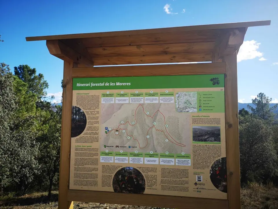Itinerari forestal de les Moreres