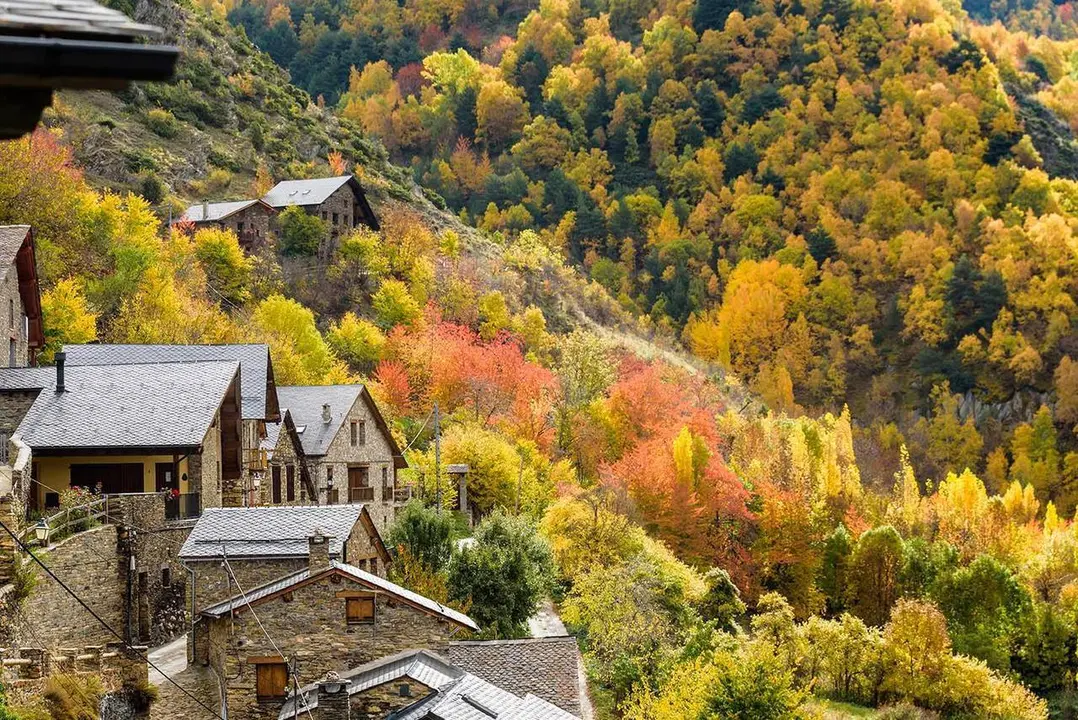 Festival de colors de tardor a la Coma de Burg Marc Garriga