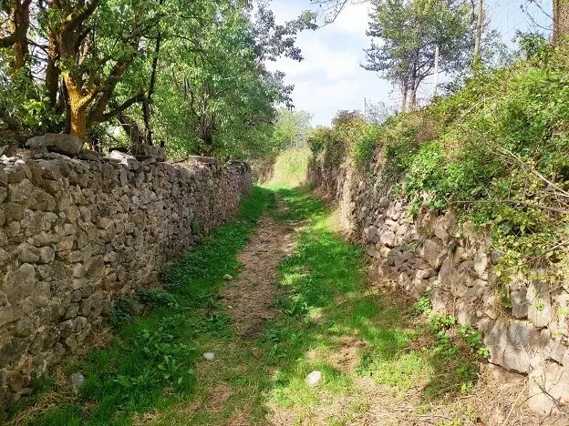 Cam&iacute; de Pedra Bellver