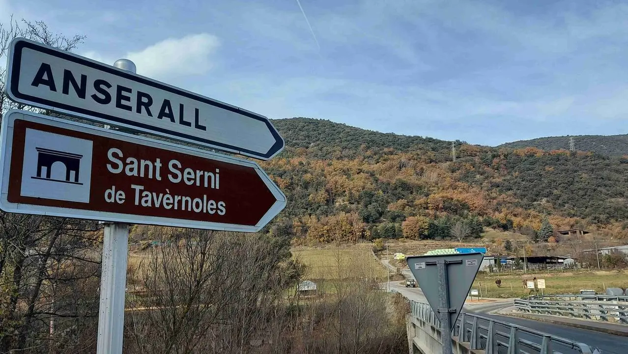 Anserall 1