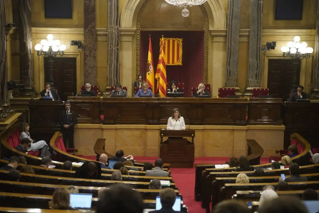 Verg&eacute;s compareixen&ccedil;a Parlament 1