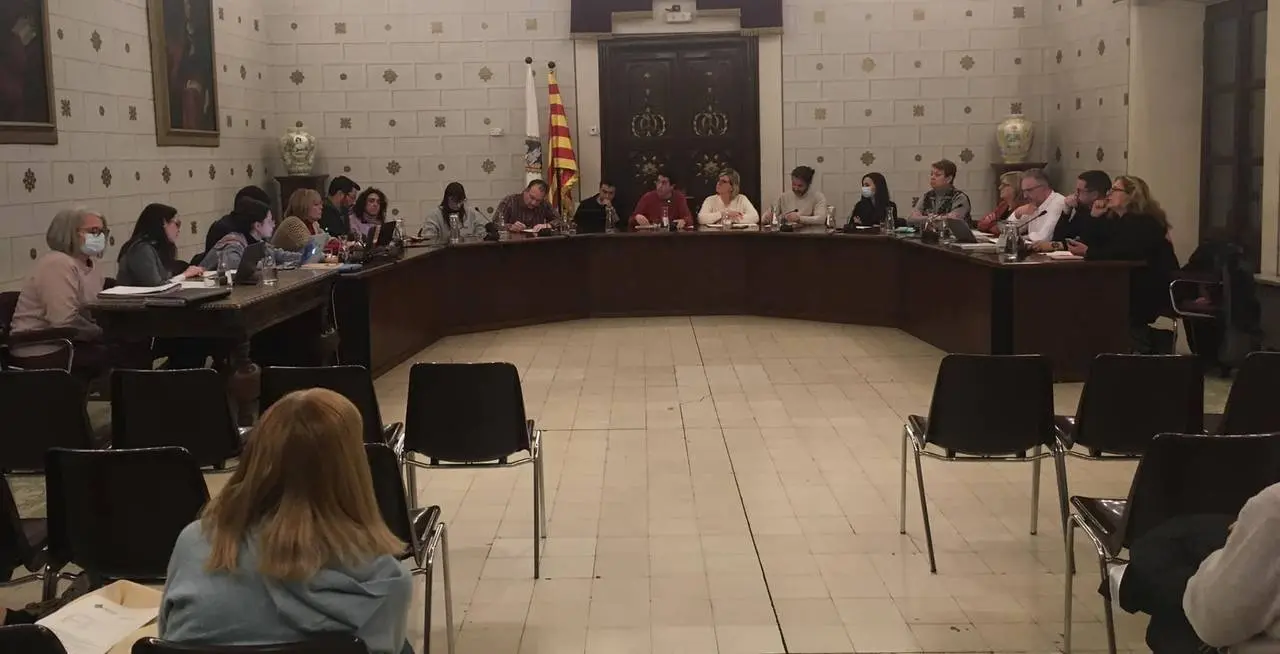 Ple  pressupostos la Seu
