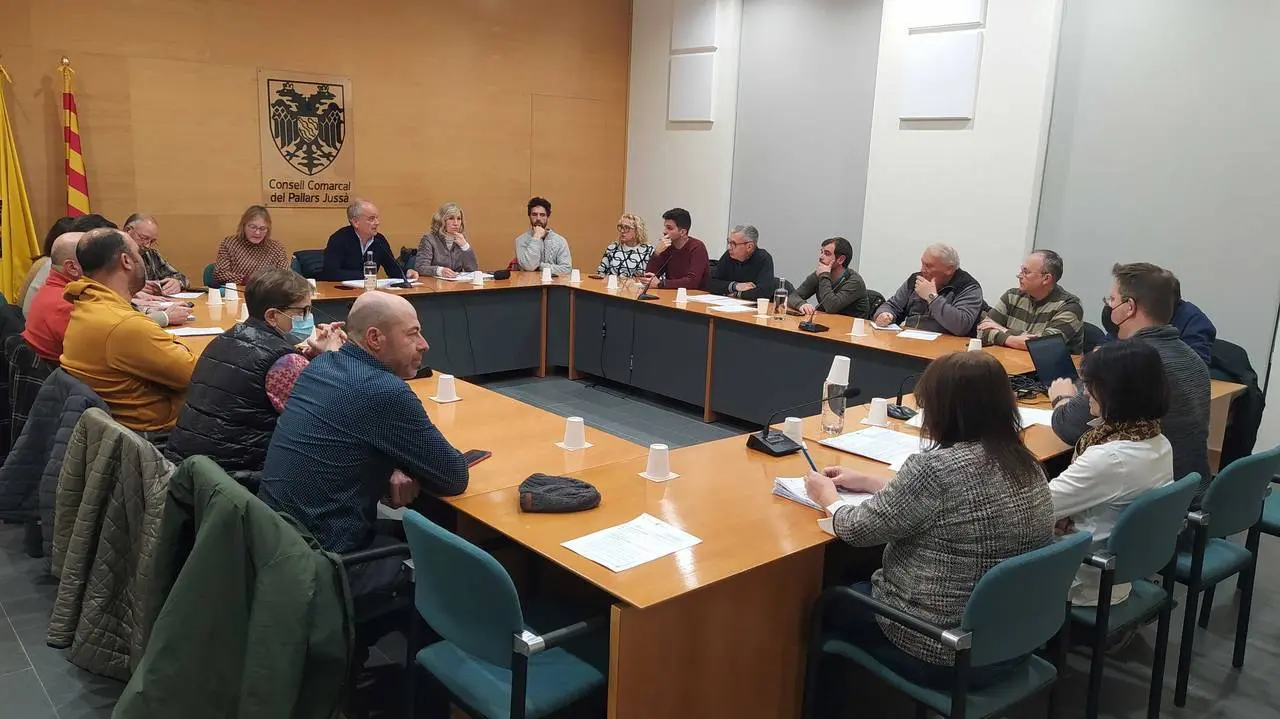 CCPJ Ple pressupostos 2024