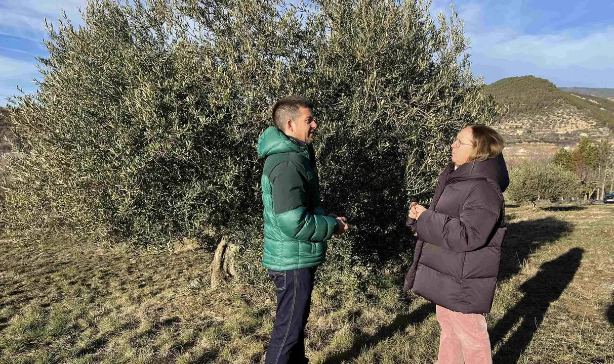 Oliveres Pallars Juss&agrave; 1