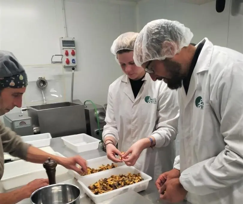 L'Escola Agr&agrave;ria del Pallars transformaci&oacute; agroaliment&agrave;ria de muntanya