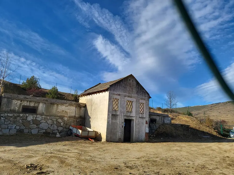dipositaigua