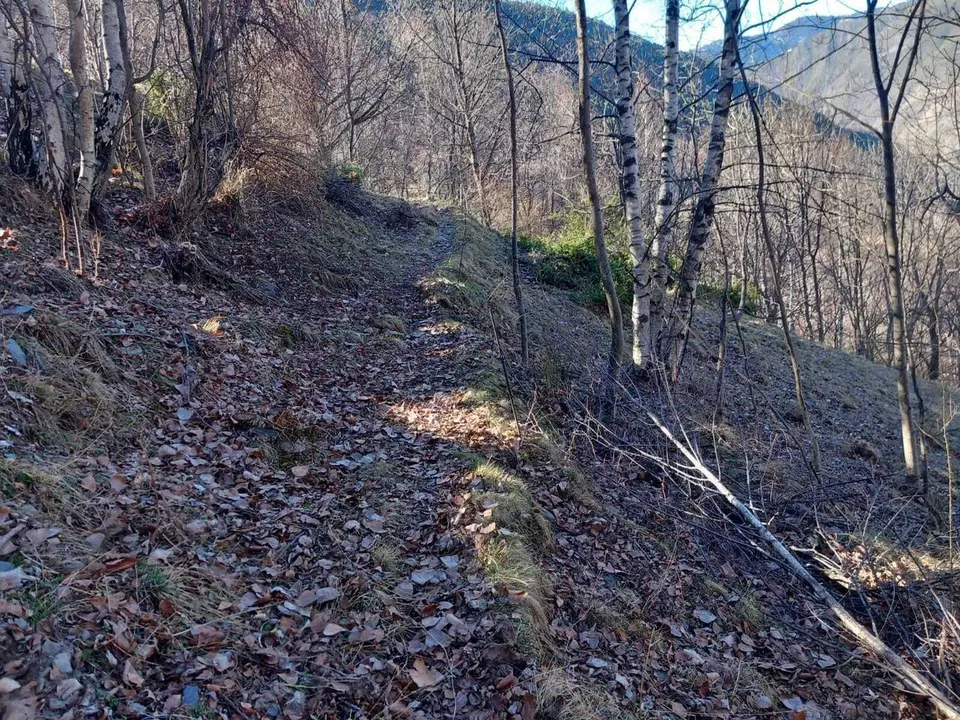 Cam&iacute; Bold&iacute;s Juss&agrave; i Bold&iacute;s Sobir&agrave; PNAP