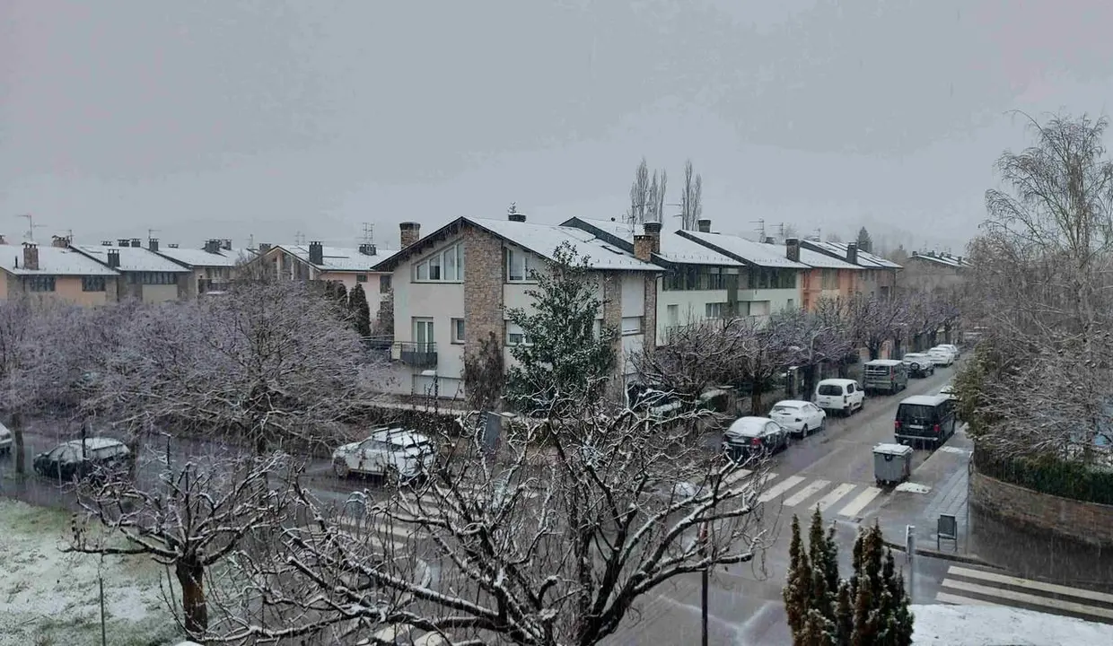 Nevada a la Seu