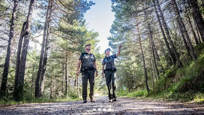 Agents Rurals bosc