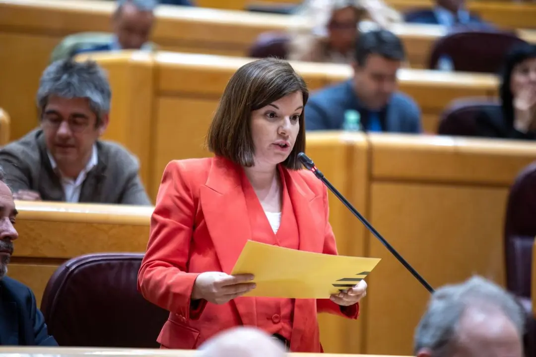 La senadora republicana, Sara Bailac durant una intervenci&oacute;