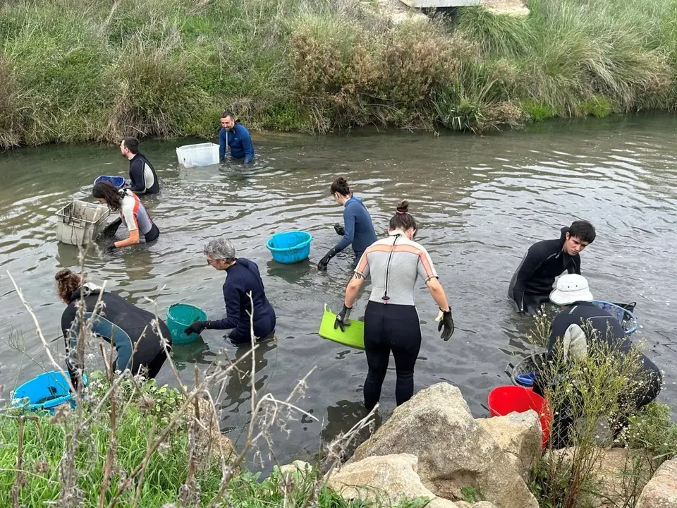 voluntariat ambiental