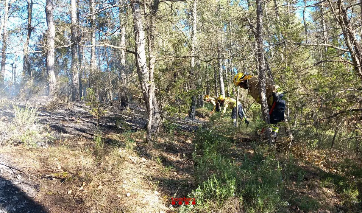 Ogern incendi