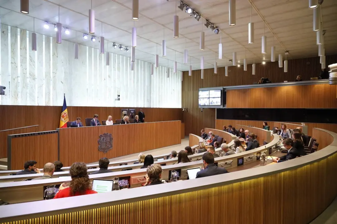 Consell General Llei catal&agrave; 3