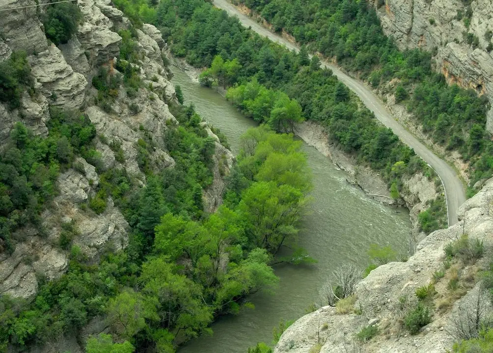 Camp regates la Pobla de Segur