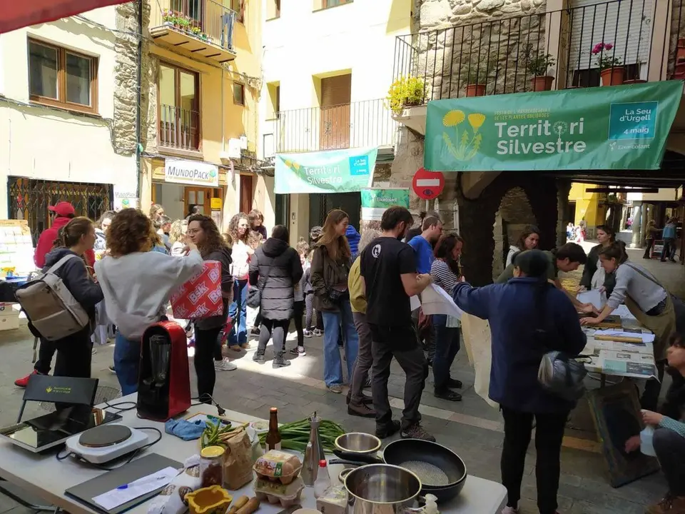 Territori Silvestre Seu d'Urgell