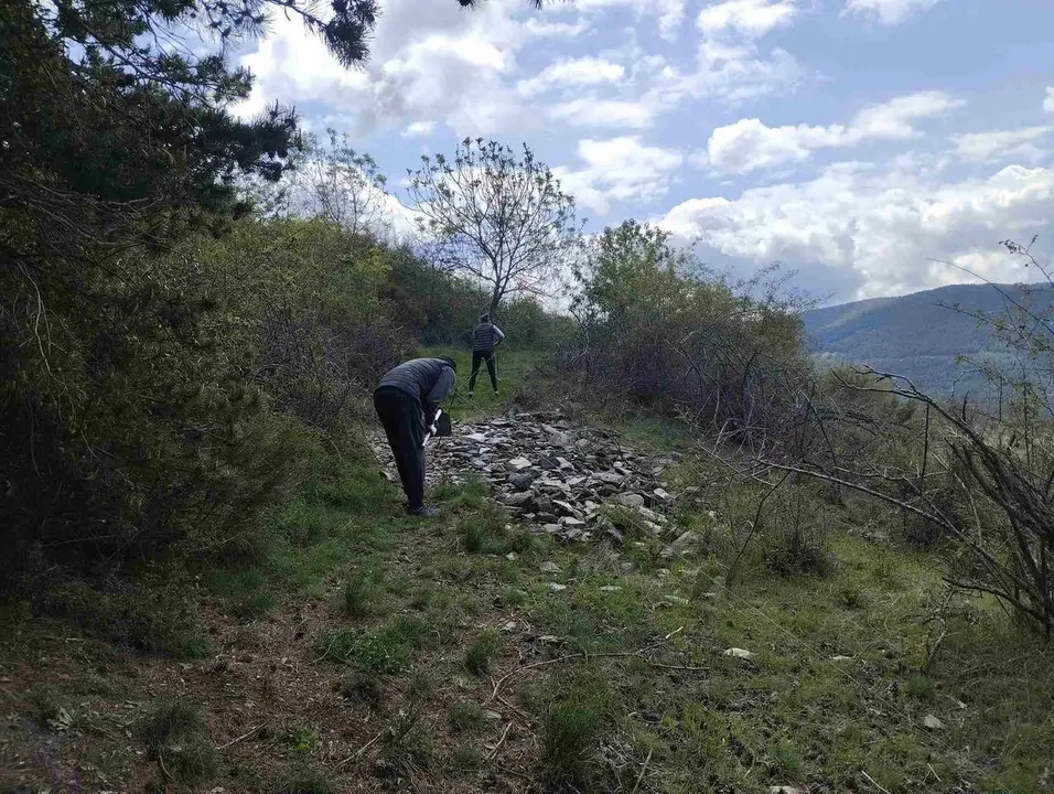 Cam&iacute; del Ronc&agrave;s 1