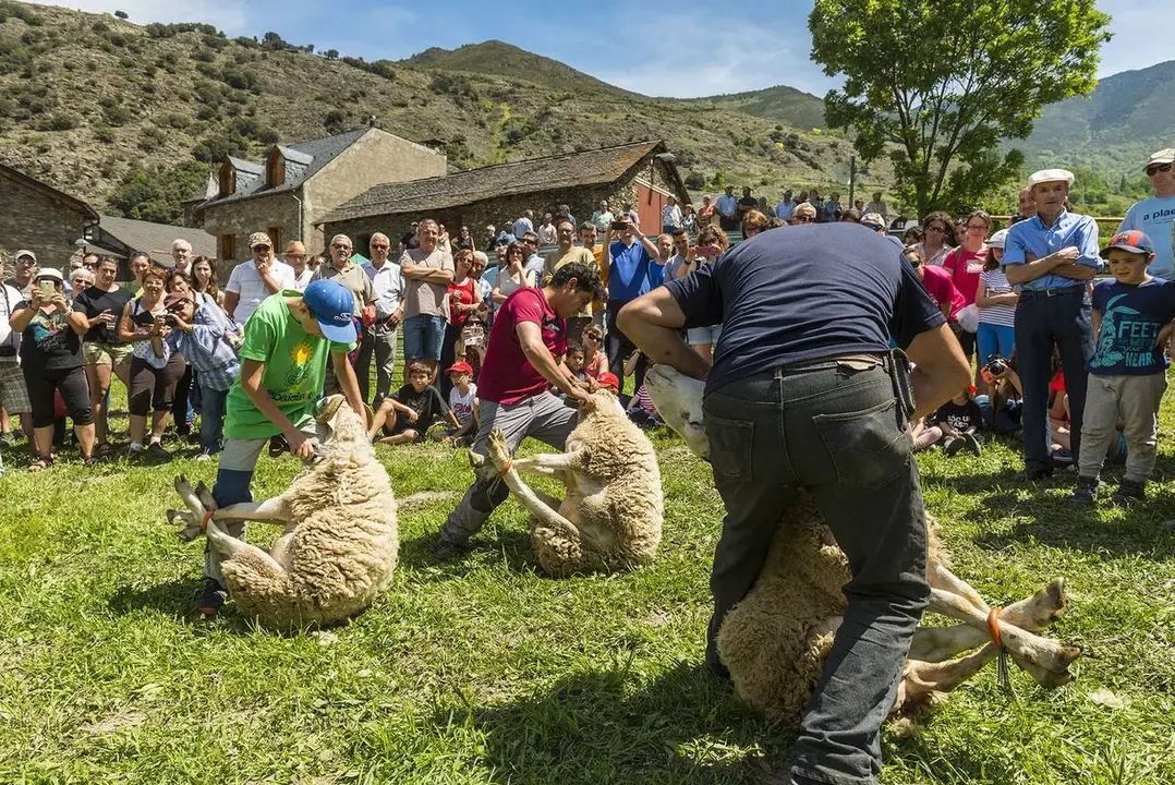 Fira de Productes del Parc Natural de l'Alt Pirineu i l'Ovella Aranesa 2