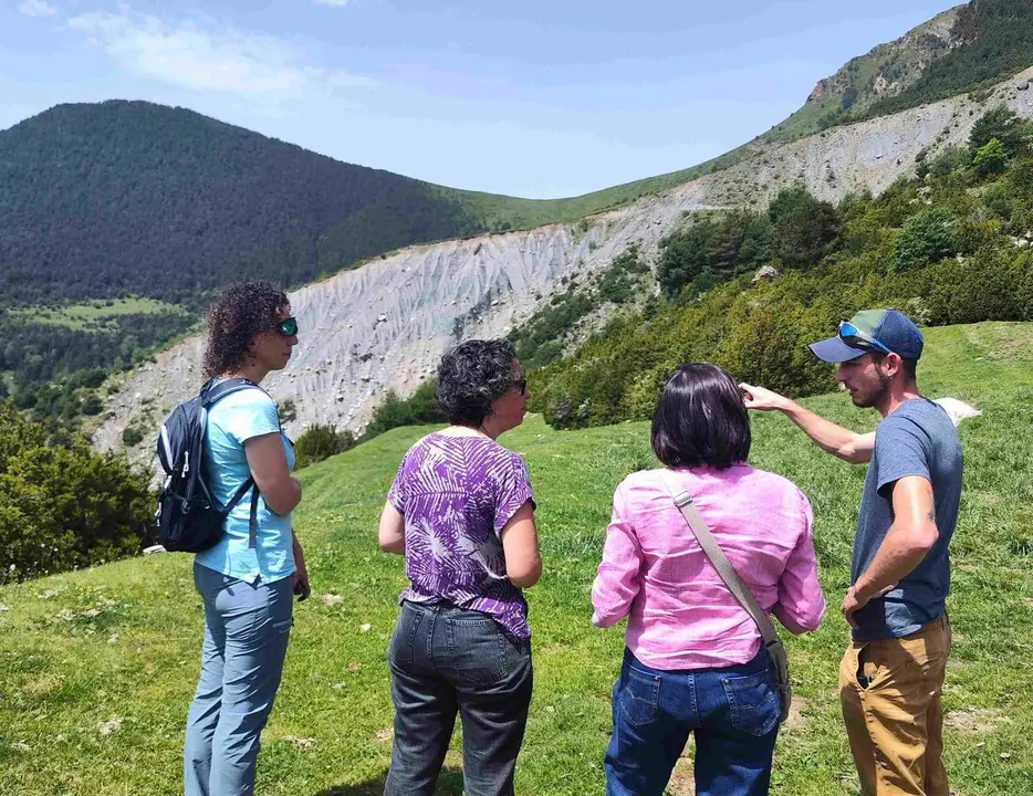 Dic flexible Vall de Bo&iacute; 1