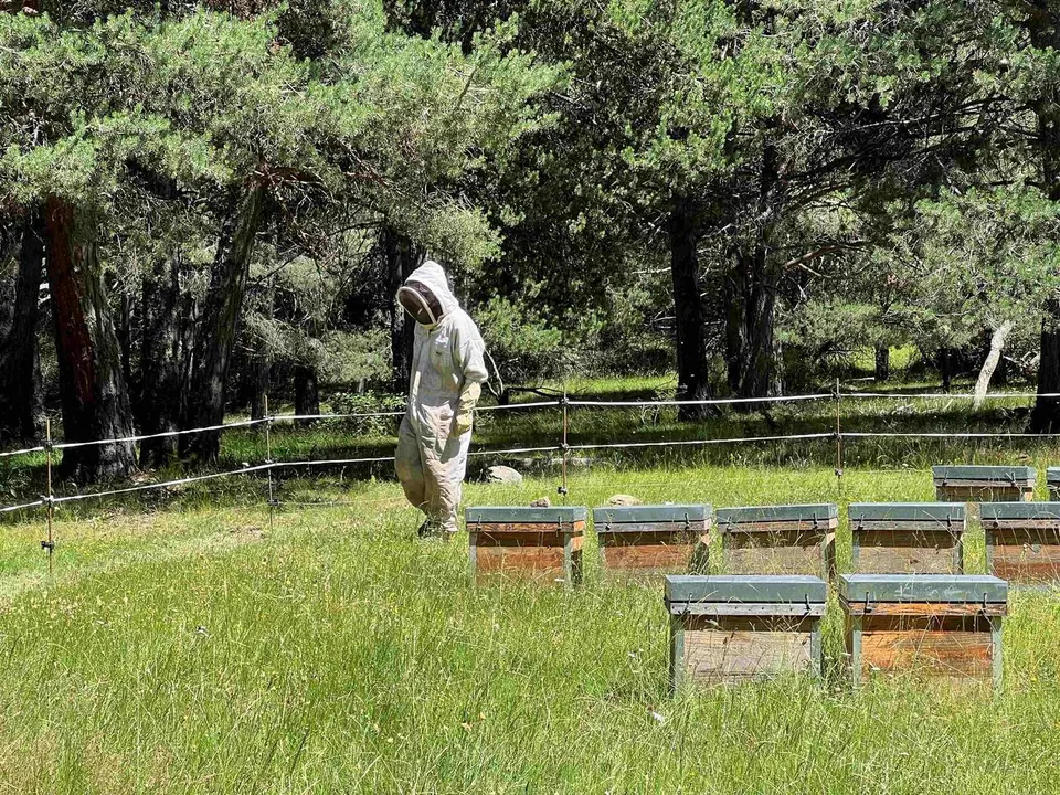 Os assentaments agr&iacute;coles 1