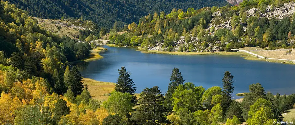 Parc Nacional d'Aig&uuml;estortes Roger Gras