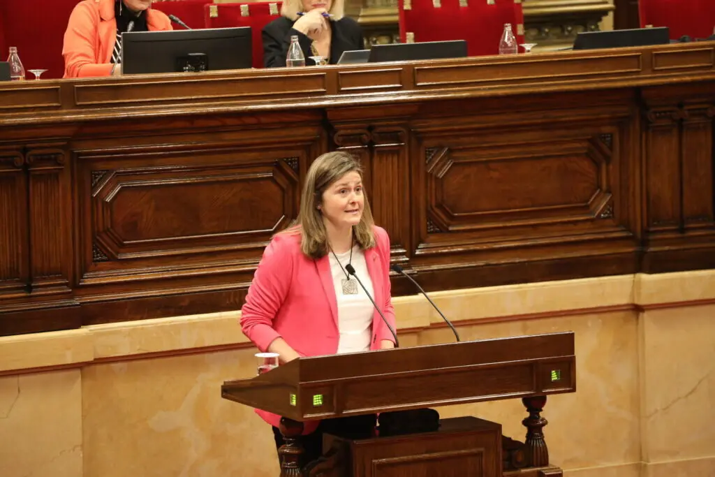 S&iacute;ndica d'Aran Parlament