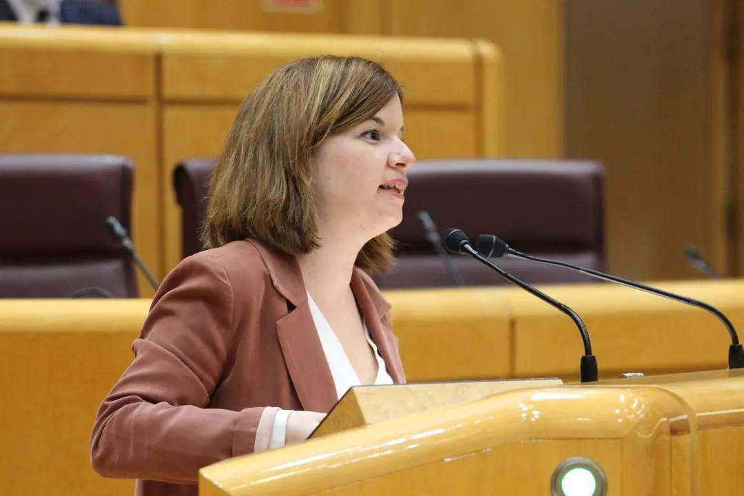 La senadora Sara Bailac durant la seva intervenci&oacute; al Senat