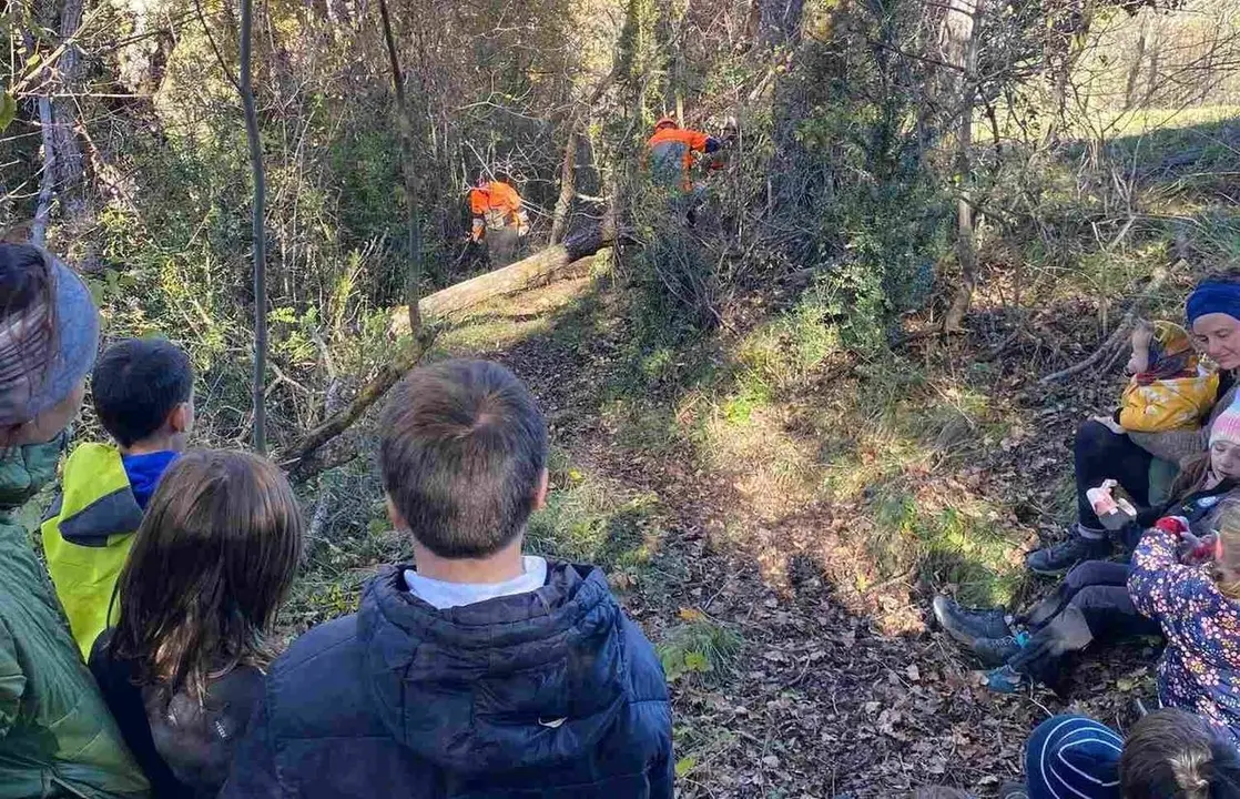 Brigada forestal Cerdanya Escola Ridolaina 2