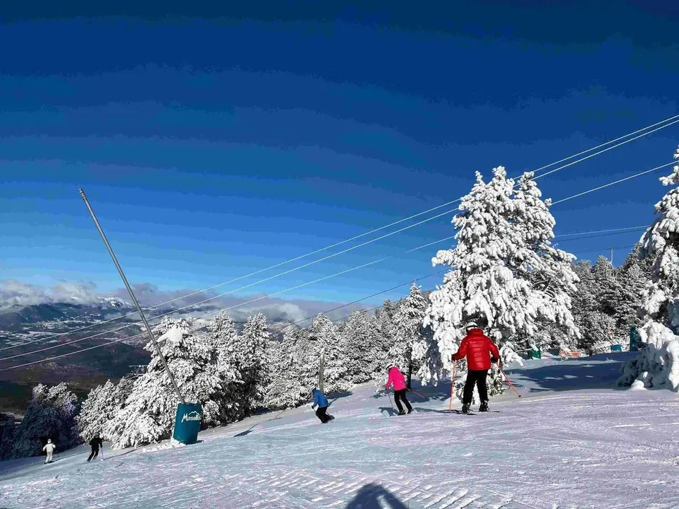 Masella oberta 3