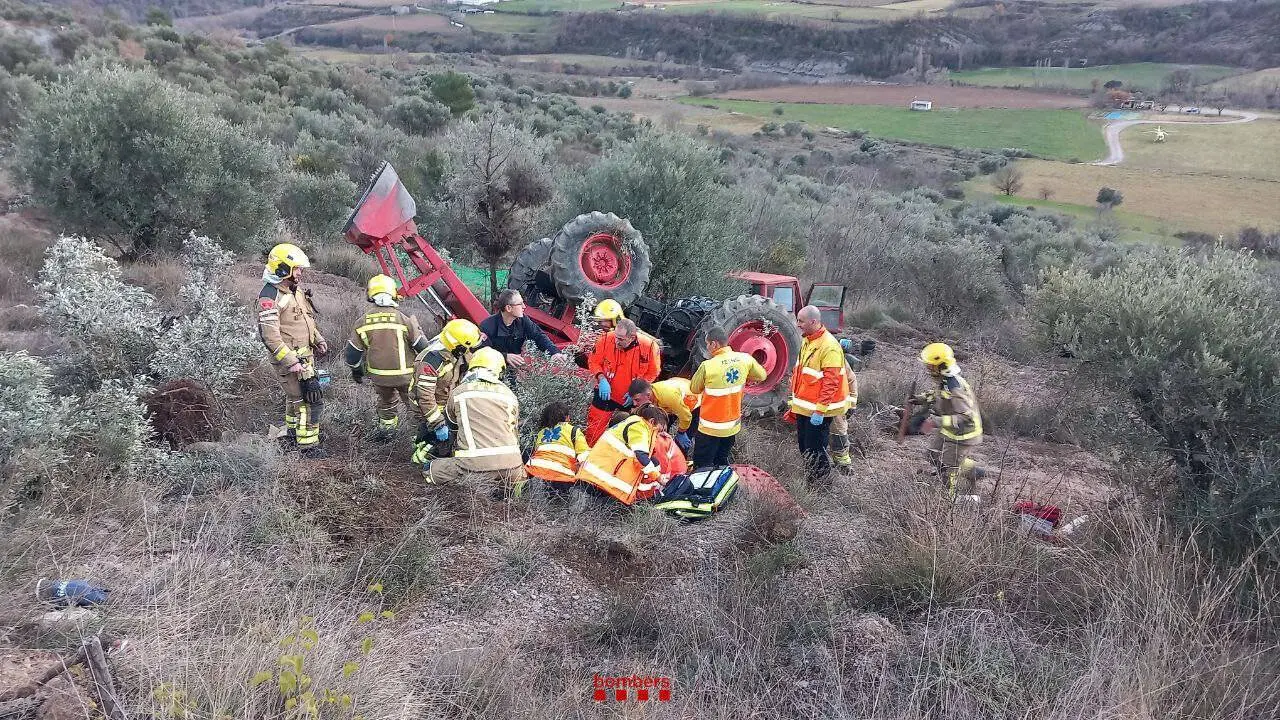 Organy&agrave; tractor bolcat